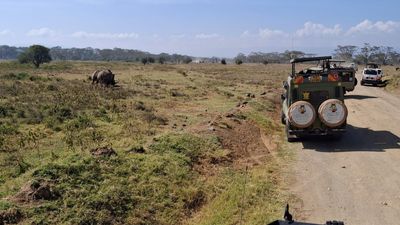 4 Days Masai Mara Budget Group Safari – Big Five Experience - Image - 13016